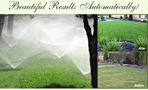 Apex Irrigation & Lawns
